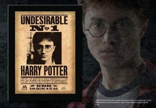 Harry Potter Undesirable No. 1 Sign 30 cm, Verzamelen, Harry Potter, Nieuw, Ophalen of Verzenden