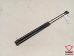 Ford Fiesta MK8 Gasveer Achterklep Set L+R H1BBA406A10AH, Ophalen, Gebruikt, Ford