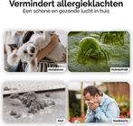 Airson Luchtreiniger - Air Purifier - met vervangbaar HEPA13, Ophalen of Verzenden, Zo goed als nieuw