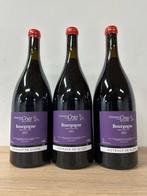 2022 Marc Soyard, Domaine de la Cras Coteaux de Dijon -, Nieuw