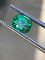 1 pcs Groen Smaragd - 1.02 ct - International Gemological, Sieraden, Tassen en Uiterlijk, Nieuw