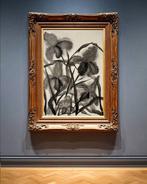 Ella Suárez - Flor silvestre 81 - XL (NO RESERVE)