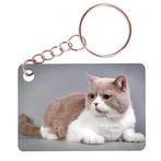 Sleutelhanger 6x4cm - Britse Korthaar Beige/Wit Liggend NIEU, Ophalen of Verzenden, Nieuw