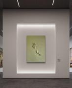 Nicole Lubbers - Domen van licht