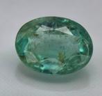 Groen Smaragd - 2.56 ct - Antwerp Laboratory for Gemstone, Sieraden, Tassen en Uiterlijk, Nieuw
