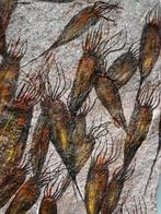 Mooi fossiel met een alien-achtig uiterlijk - 30 specimens -, Verzamelen