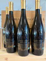 2018 Poggio al Tesoro, Pagus Camilla - Bolgheri DOC - 6, Verzamelen, Nieuw