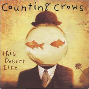 cd - Counting Crows - This Desert Life, Cd's en Dvd's, Cd's | Rock, Zo goed als nieuw, Verzenden