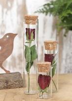 Reageerbuisjes glas met kurk 10 cm Ø3 cm doos 12 stuks, Ophalen of Verzenden, Nieuw