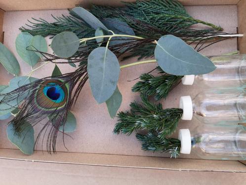 3 flesjes bloemen gemengdgroen + eucalyptus 1 pauwenveer  in, Hobby en Vrije tijd, Knutselen, Nieuw, Ophalen of Verzenden