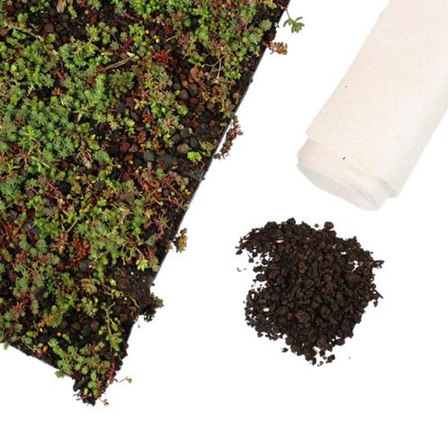 Sedummat | Per M2 | Incl. onderdoek en substraatkorrels - Pe, Tuin en Terras, Planten | Bomen, Ophalen of Verzenden
