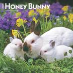 Honey Bunny 2025 12 X 24 Inch Monthly Square Wall Calendar, Boeken, Verzenden, Nieuw
