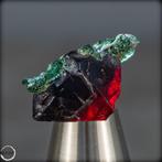 Zeer Zeldzame AAA ++ Glanzende Cuprit Kristal 38,90 ct- 7.78, Verzamelen, Mineralen en Fossielen