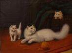 Beno Boleradszky (1885-1957) Attrib. - Playful Kittens on a, Antiek en Kunst, Kunst | Schilderijen | Klassiek