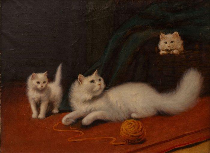 Beno Boleradszky (1885-1957) Attrib. - Playful Kittens on a, Antiek en Kunst, Kunst | Schilderijen | Klassiek