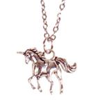 Ketting RVS Zilverkleurig 55cm - Hangertje Eenhoorn Zilverkl, Sieraden, Tassen en Uiterlijk, Kettingen, Ophalen of Verzenden, Nieuw