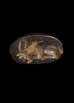 West-Aziatisch Donkerbruin hardsteen Stempelzegel met, Antiek en Kunst