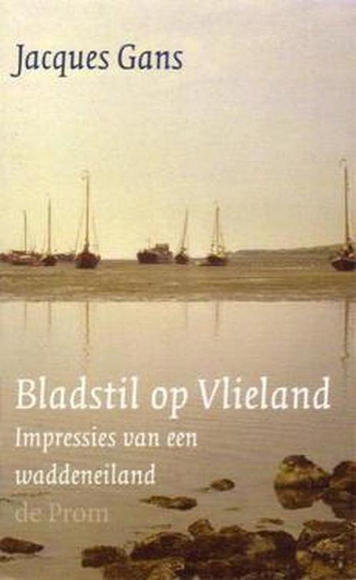 Bladstil op Vlieland 9789068016758 J. Gans, Boeken, Romans, Zo goed als nieuw, Verzenden