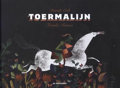 Toermalijn 9789462915244 Davide Cali, Boeken, Prentenboeken en Plaatjesalbums, Gelezen, Verzenden