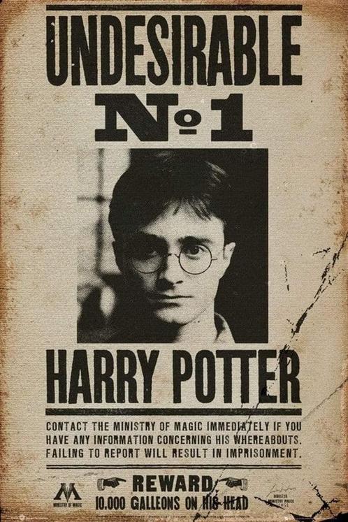 Poster Harry Potter Undesirable No 1 61x91,5cm, Verzamelen, Posters, Nieuw, A1 t/m A3, Verzenden
