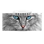 Spaarpot - Grijze Noorse Boskat - Closeup NIEUW, Ophalen of Verzenden, Nieuw