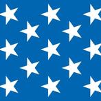 Scenesetter USA 1,22 x 9,14 meter - Scenesetters, Ophalen of Verzenden, Nieuw