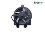 Koelfan Motor BMW F 750 GS 2018-2023 (F750GS K80), Motoren, Onderdelen | BMW, Verzenden, Gebruikt