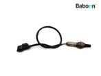 Lambda Sonde Honda CBF 600 2007-2010 (CBF600N CBF600S PC43), Verzenden, Gebruikt