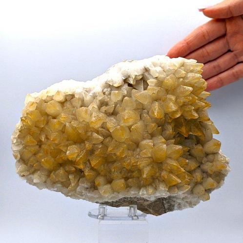 Grote (18 cm) GELE IRIDESCENTE CALCIT! Elegant Kristallen op, Verzamelen, Mineralen en Fossielen
