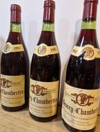 1982 Nazarin de Berghese - Gevrey Chambertin - 3 Flessen, Verzamelen, Wijnen, Nieuw
