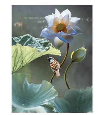 Customize-it - Lotus mus 50x70cm Tuinschilderij beschikbaar voor biedingen