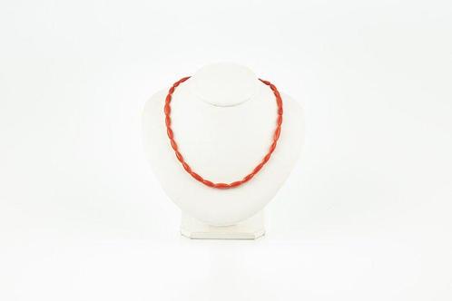 Bloedkoraal Koraal - Corallium rubrum (Zonder Minimumprijs), Verzamelen, Dierenverzamelingen