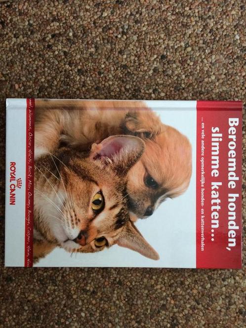 Beroemde honden, slimme katten ... 8714231634706, Boeken, Overige Boeken, Gelezen, Verzenden