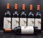 2020 Ricasoli, La Volpe e LUva - Bolgheri DOC - 6 Flessen, Nieuw