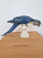 Royal Dux Porzellan-Manufaktur - Figuur - Papaggei Ara ca.