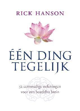 Eén ding tegelijk 9789025901967 Rick Hanson, Boeken, Psychologie, Gelezen, Verzenden