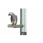 Slijtstok voor papegaaien | Gezonde snavel & nagelverzorging, Verzenden, Nieuw