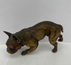 Vienna Foundry - Beeldje - French Bulldog - Vienna cold