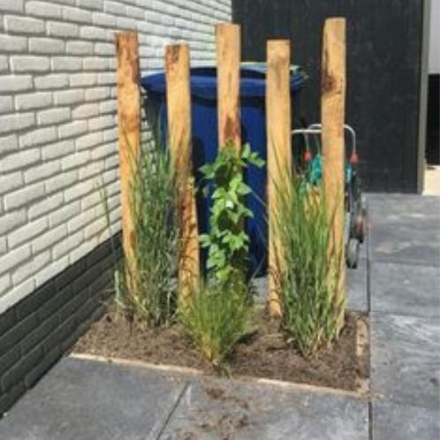 Kastanje Paal - 150 tot 300 cm - 180 cm, Tuin en Terras, Overige Tuin en Terras, Ophalen of Verzenden