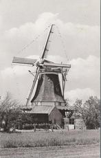 VOORST - Korenmolen De Zwaan Ao. 1904, Verzamelen, Ansichtkaarten | Nederland, Verzenden, Gelopen