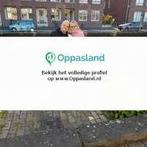 Ik ben Colinda, 28 jaar oud en ik zoek oppaswerk in Bilth...