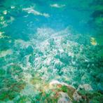 vinyl single 7 inch - Floris Vanhoof - Dolphins Into The..., Verzenden, Zo goed als nieuw