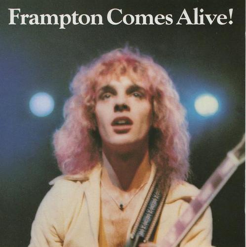 cd - Peter Frampton - Frampton Comes Alive!, Cd's en Dvd's, Cd's | Overige Cd's, Zo goed als nieuw, Verzenden