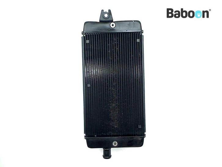Radiateur Triumph Thruxton 1200 R 2016, Motoren, Onderdelen | Overige, Gebruikt, Verzenden