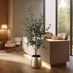 Kunstplant - Eucalyptus - Blauwe Gomboom  - 180 cm, Verzenden, Nieuw