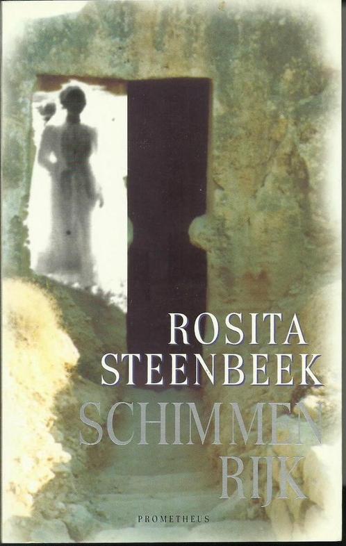 Schimmenrijk 9789053337141 Rosita Steenbeek, Boeken, Romans, Gelezen, Verzenden