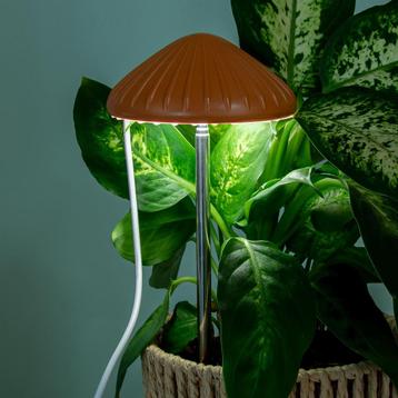 Paddenstoel plantenlamp beschikbaar voor biedingen