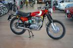 Ducati - Scrambler - 350 cc - 1972