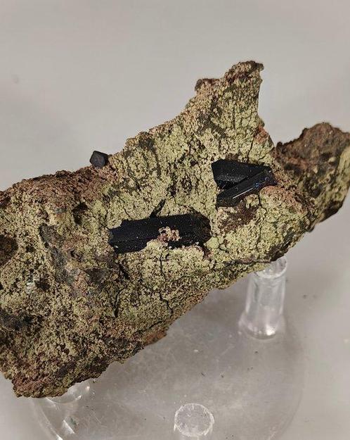 azuriet Kristallen op matrix - Hoogte: 6 cm - Breedte: 3 cm-, Verzamelen, Mineralen en Fossielen