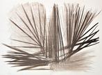 Hans Hartung (1904-1989) - L112